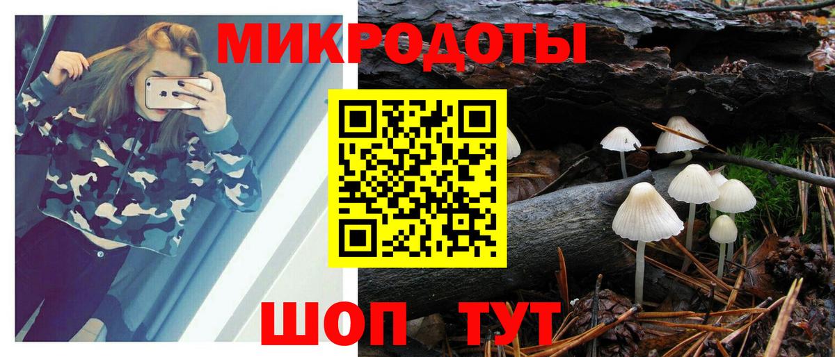 Псилоцибиновые грибы MAGIC MUSHROOMS Екатеринбург