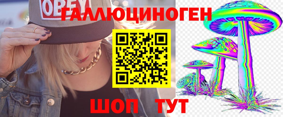 Екатеринбург  Псилоцибиновые грибы Cubensis  Вход с VPN 